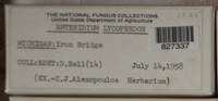 Image Associated With the Occurence